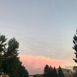 Meet your Posher, Alena